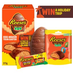 Reese's Peanut Butter Half Filled Egg with Reese's Big Cup and Mini Eggs 373g