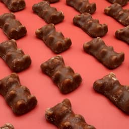 Dals Chocolate Covered Bears Box 2.2kg