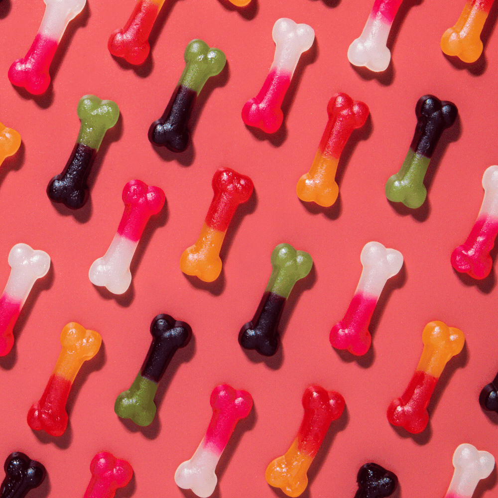 Haribo Bone Shakers Limited Edition Bag 3kg