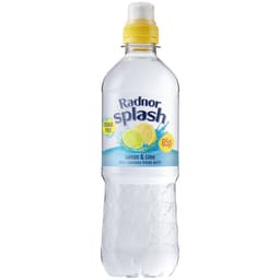 Radnor Splash Lemon & Lime Still Flavoured Spring Water 500ml 85p PMP