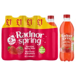 Radnor Spring Strawberry & Raspberry Sparkling Spring Water 500ml £1 PMP