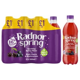 Radnor Spring Cherry & Blackcurrant Sparkling Spring Water 500ml £1 PMP
