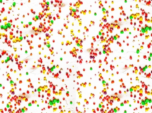 A spread of colourful, delcious Nerds candy flavours.